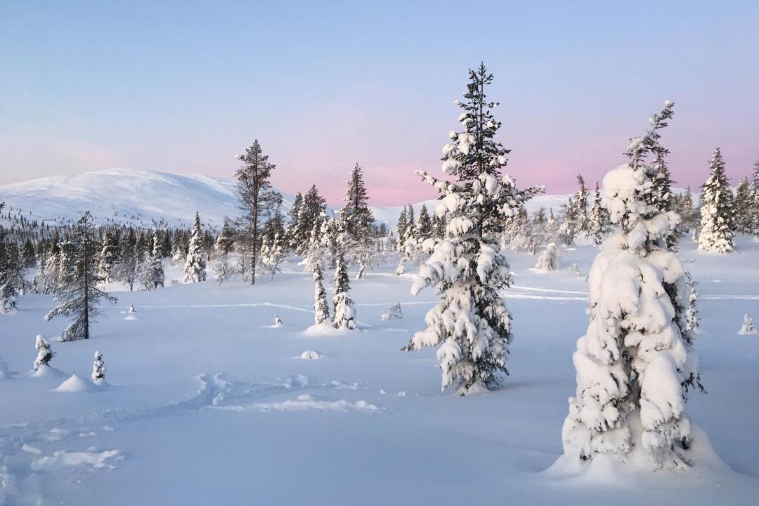Photo of Others in Yllasjarvi