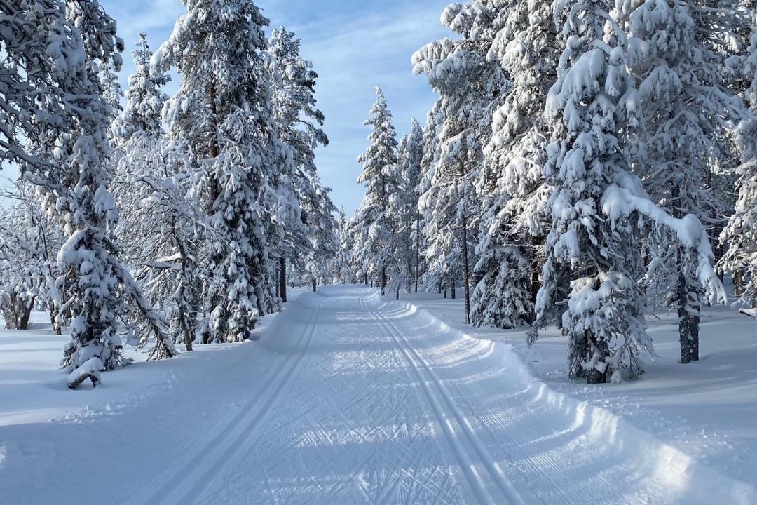 Photo of Others in Yllasjarvi