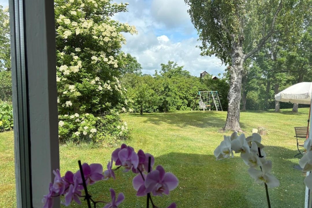 Photo of Others in Norrkoping O