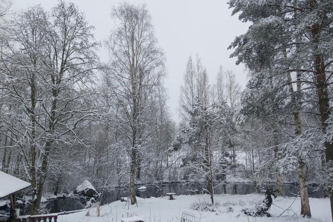 Photo of Others in Aanekoski