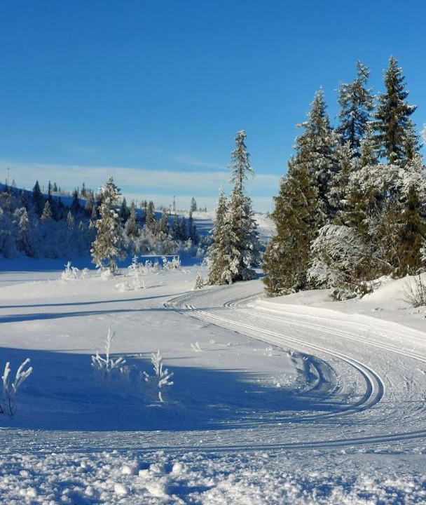 Photo of Others in Nord-Aurdal