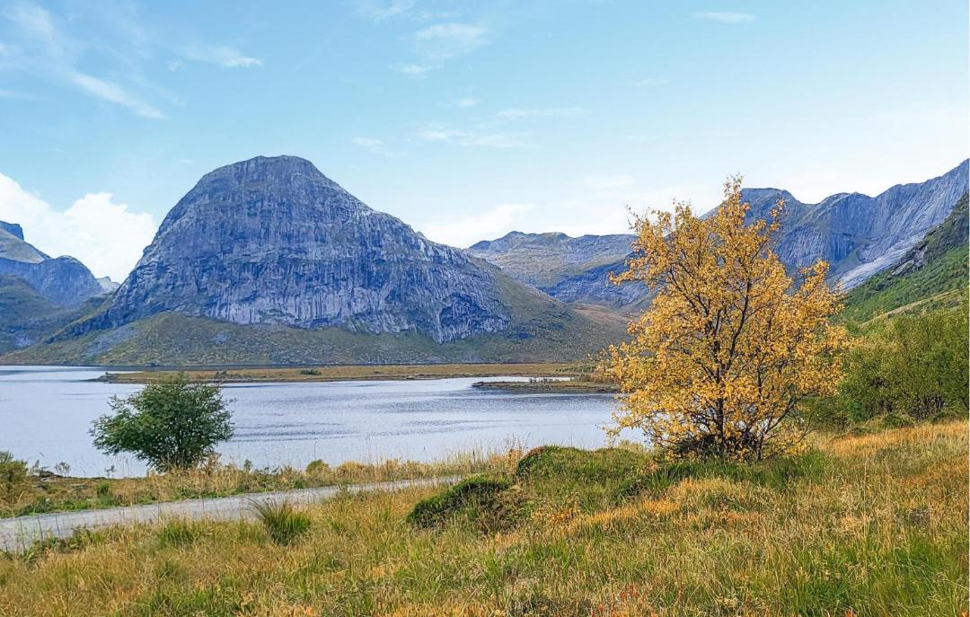 Photo of Others in Flakstad