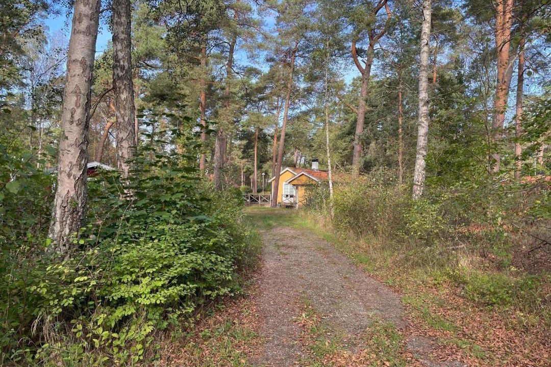 Photo of Others in Gamla Staden-Sandskogen
