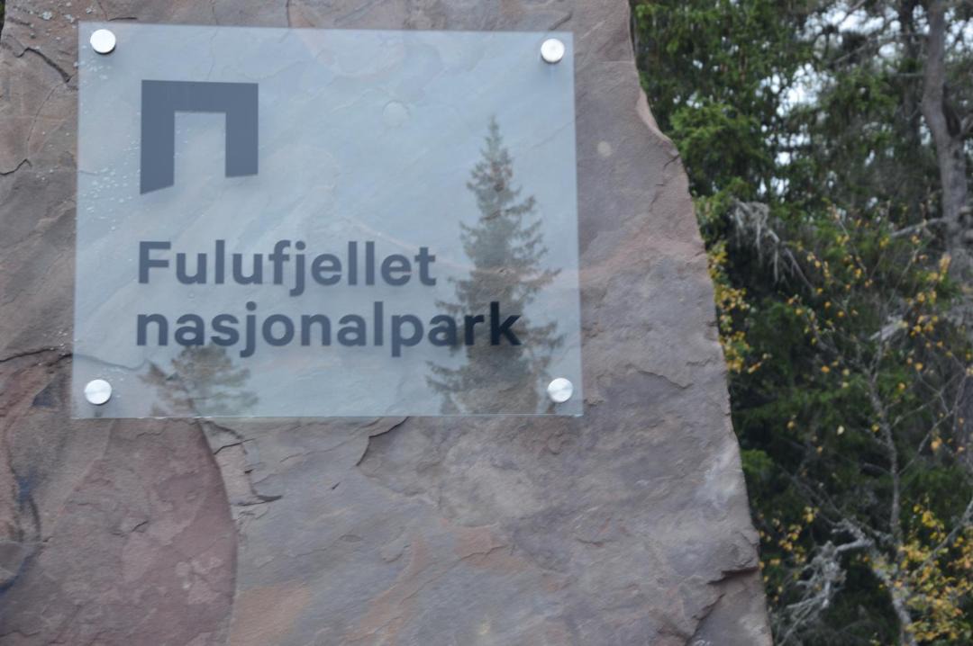 Photo of Others in Trysil