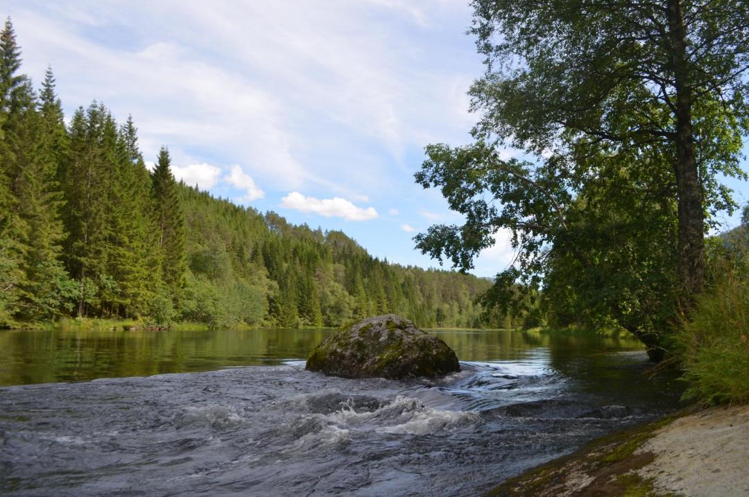 Photo of Others in Gaular Municipality
