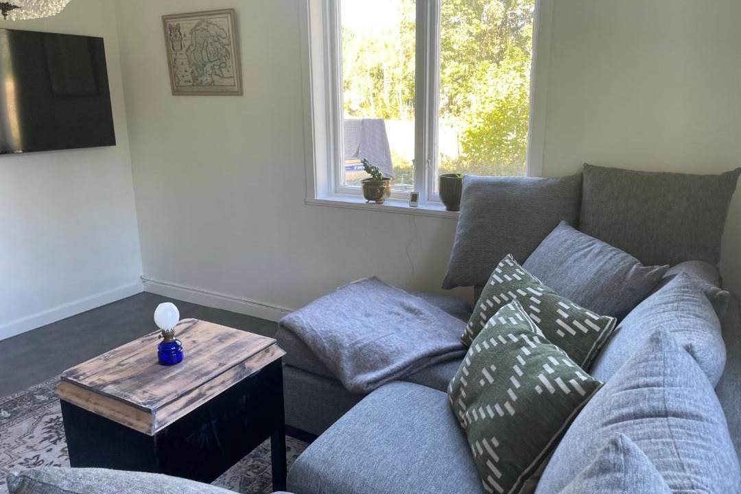Photo of Livingroom in Hogsby