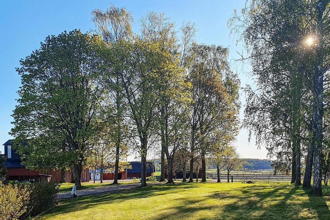 Photo of Others in Tystberga