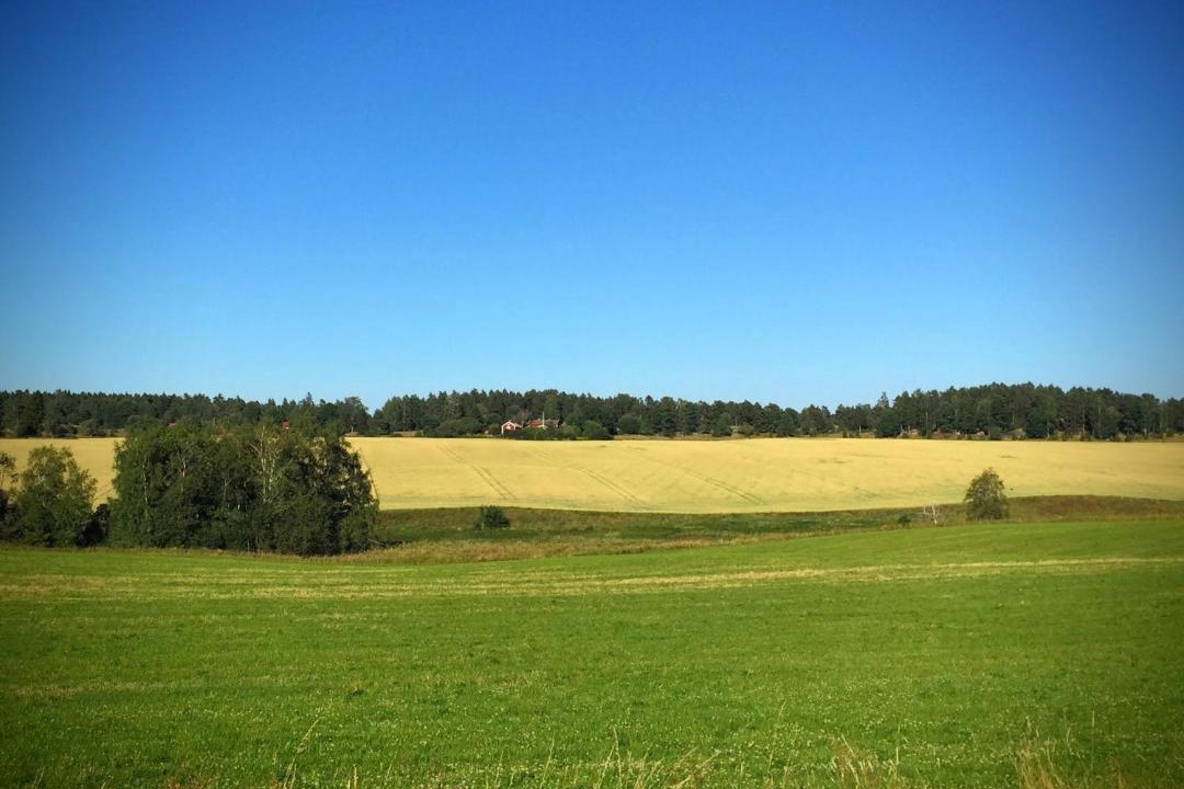 Photo of Others in Mjolby