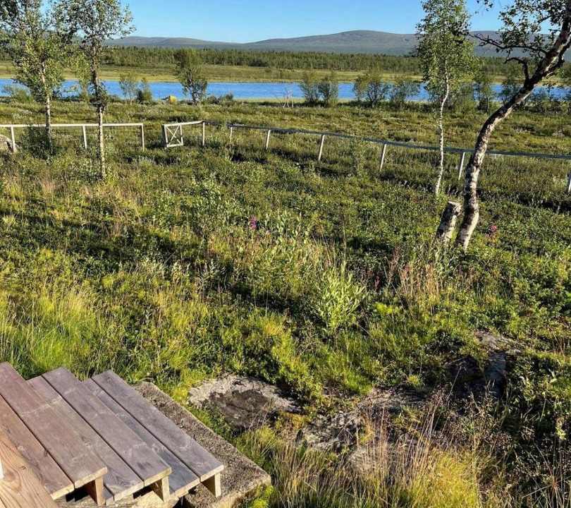 Photo of Others in Kiruna