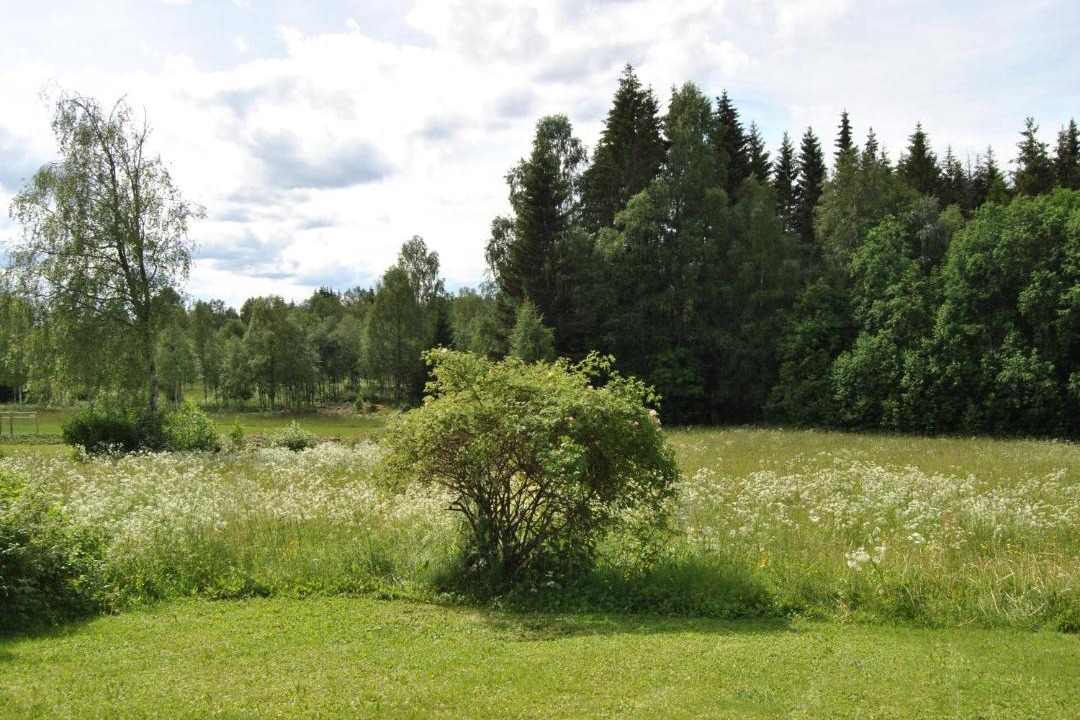 Photo of Others in Dalarna