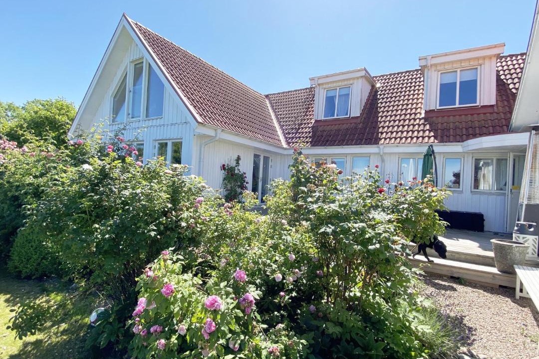 Photo of Others in Bastad
