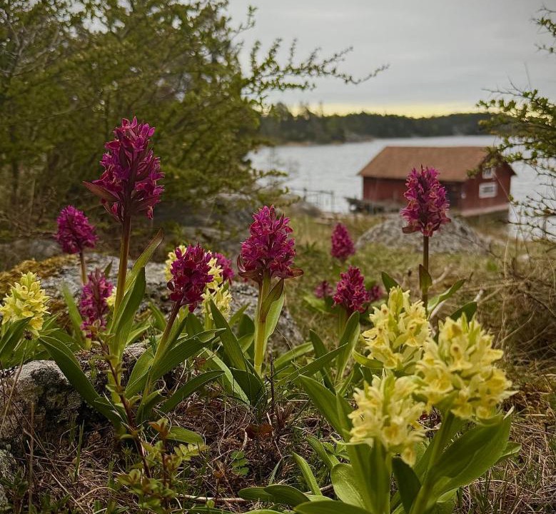 Photo of Others in Studsvik