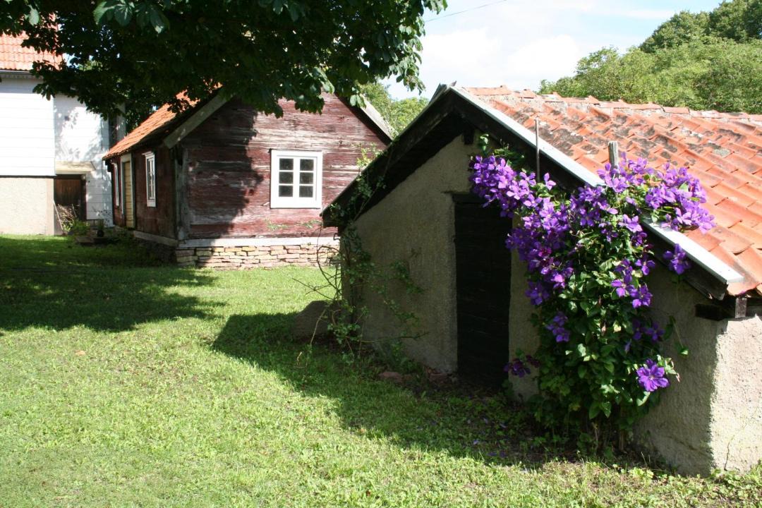 Photo of Others in Rapplinge