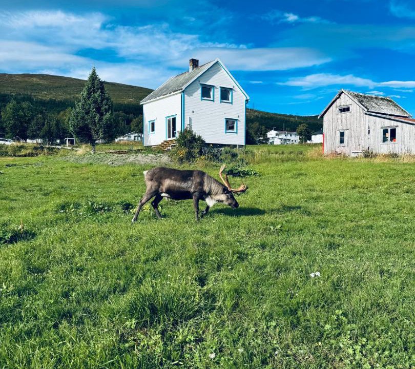 Photo of Others in Tromso