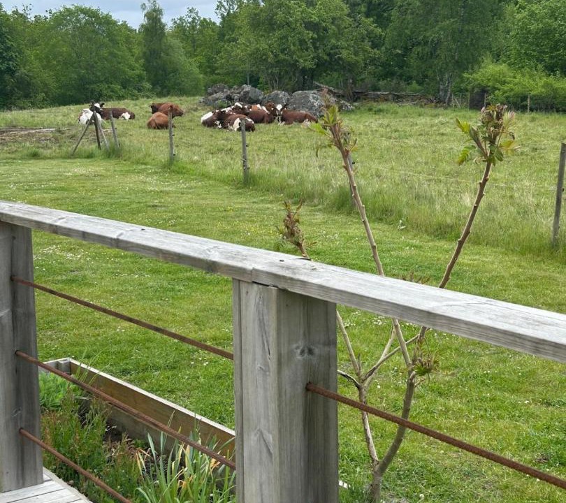 Photo of Others in Svangsta