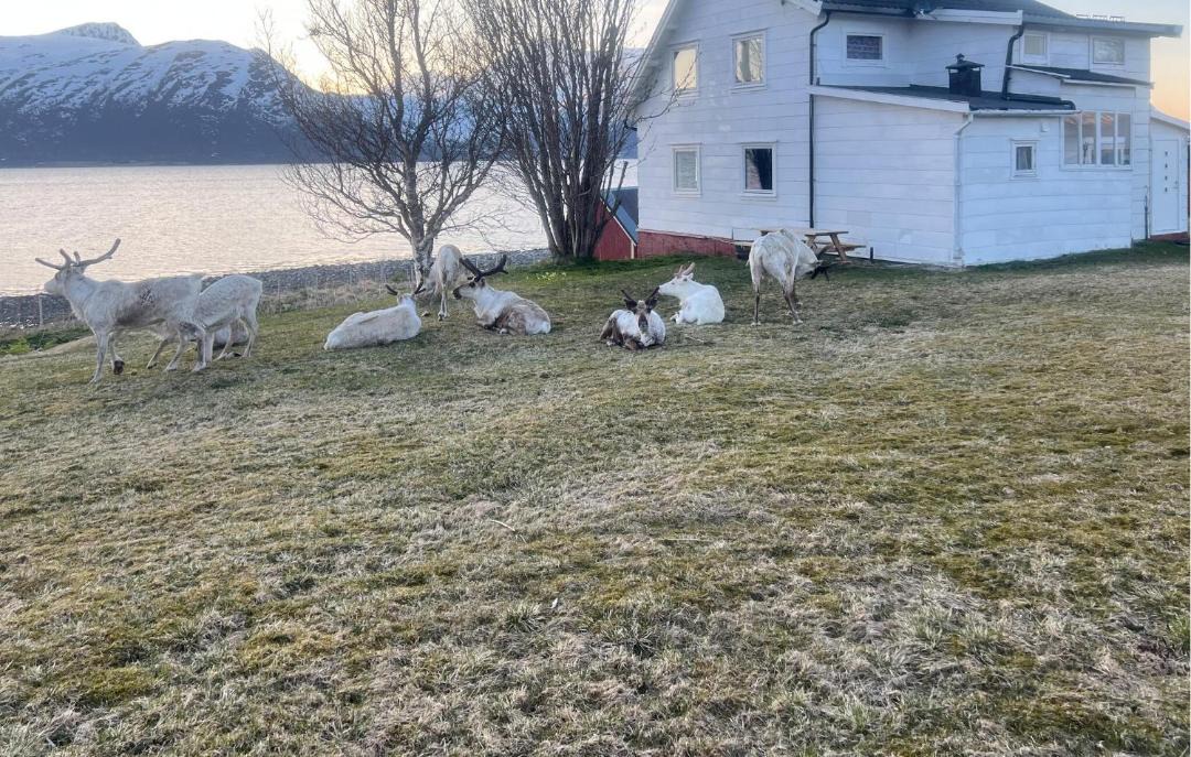 Photo of Others in Tromso