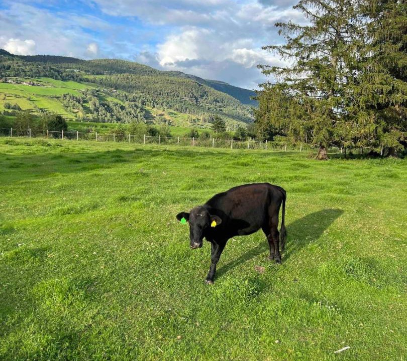 Photo of Others in Vinstra