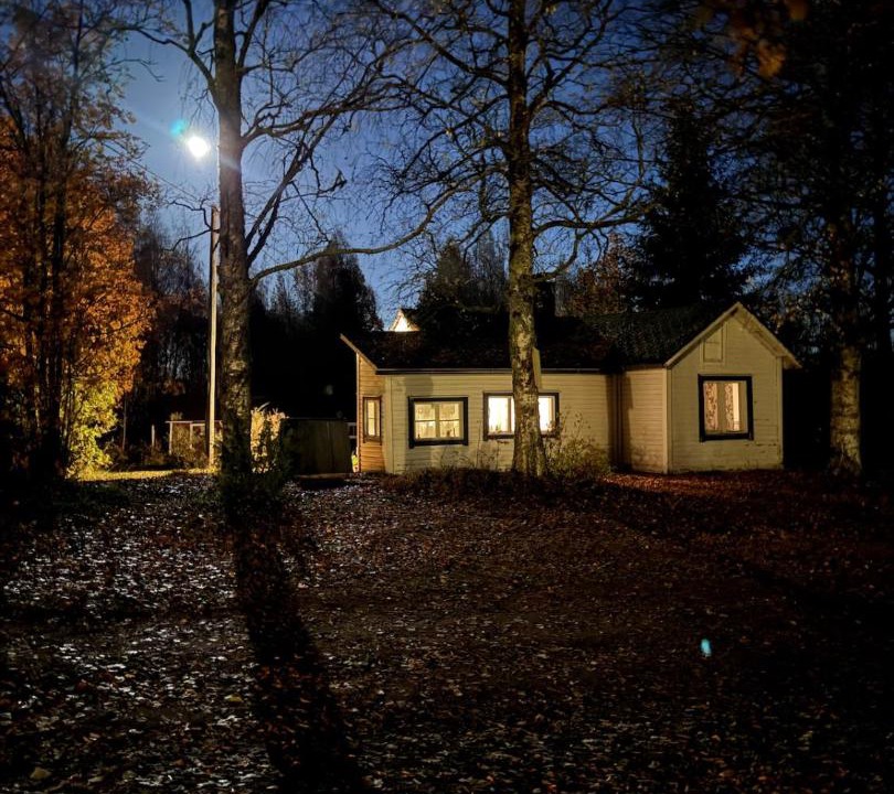 Photo of Others in Lapinlahti