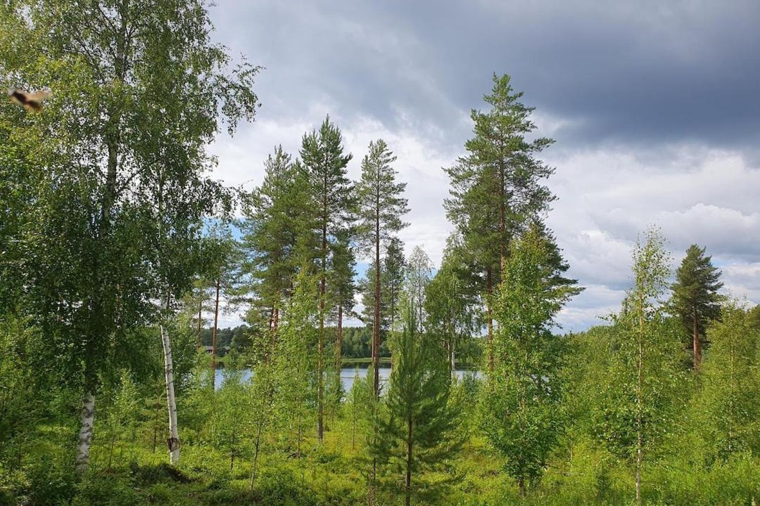 Photo of Others in Sotkamo