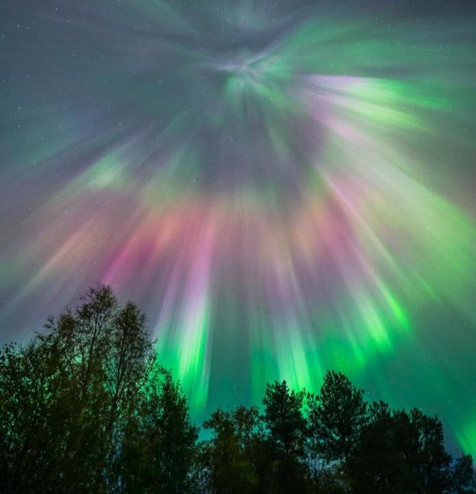 Photo of Others in Rovaniemi