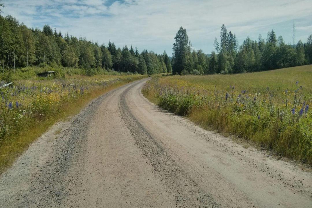 Photo of Outdoor in Ramvik