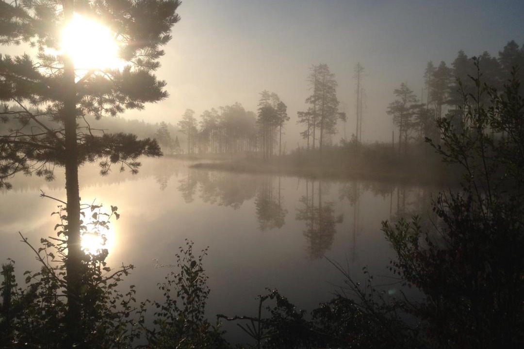 Photo of Others in Arvika