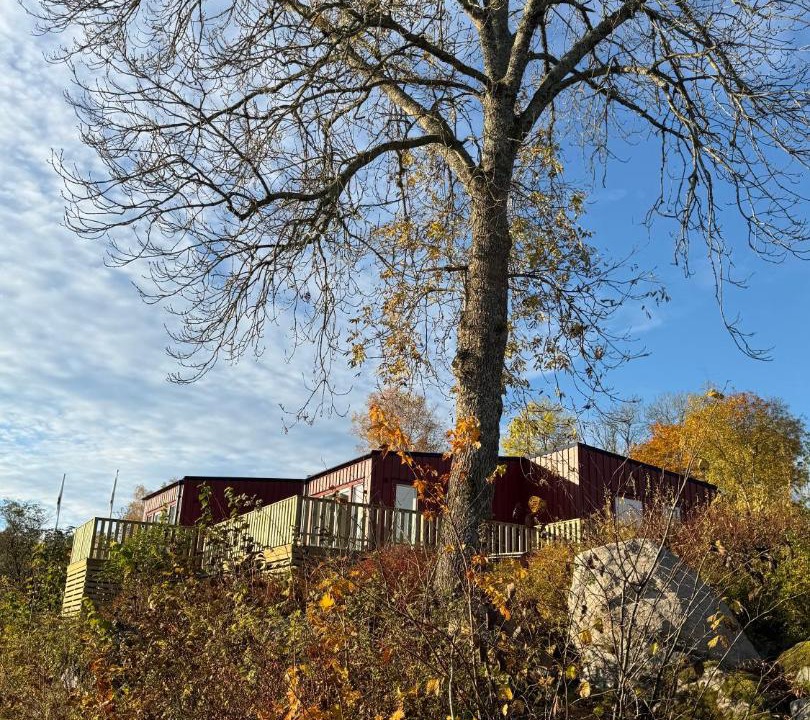 Photo of Others in Skerike