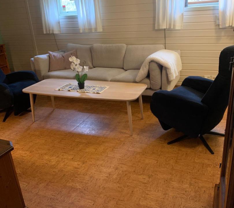 Photo of Livingroom in Krokelvdalen