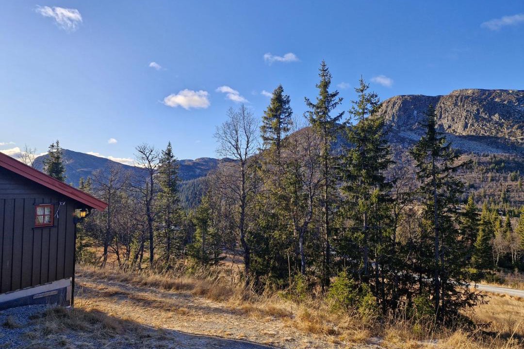 Photo of Others in Vikberget