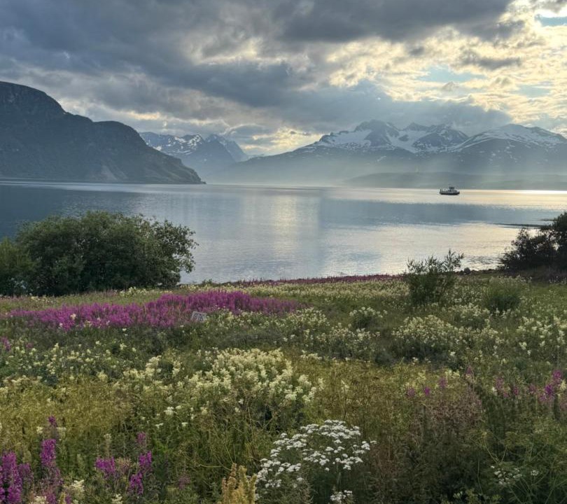 Photo of Others in Kafjord