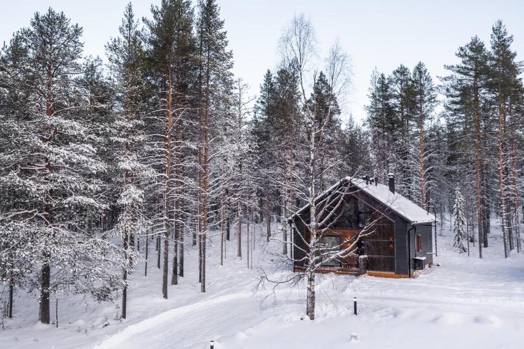 Photo of Others in Rovaniemi