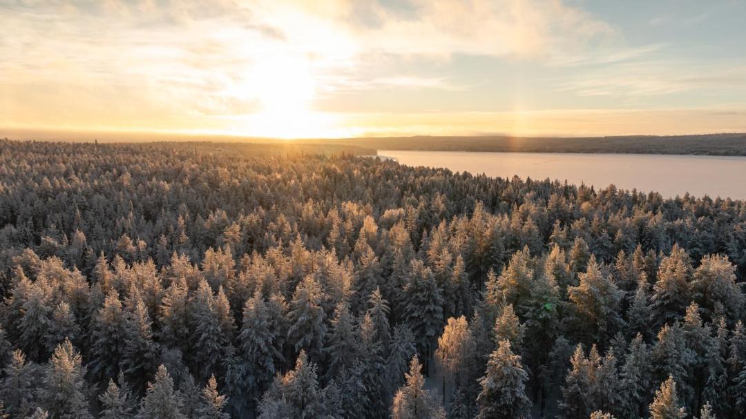 Photo of Others in Rovaniemi