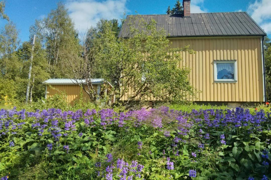 Photo of Buildings in Ramvik