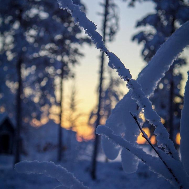 Photo of Others in Rovaniemi
