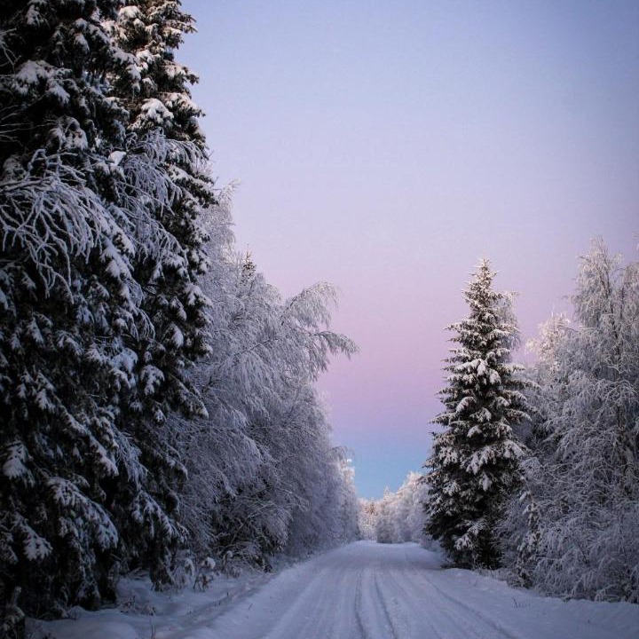 Photo of Others in Rovaniemi