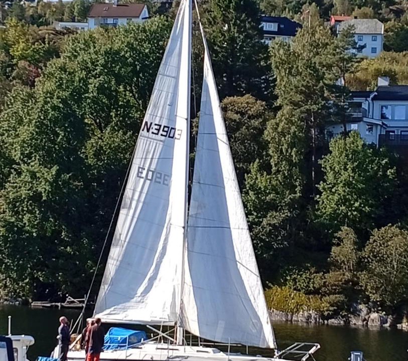 Photo of Others in Bergen