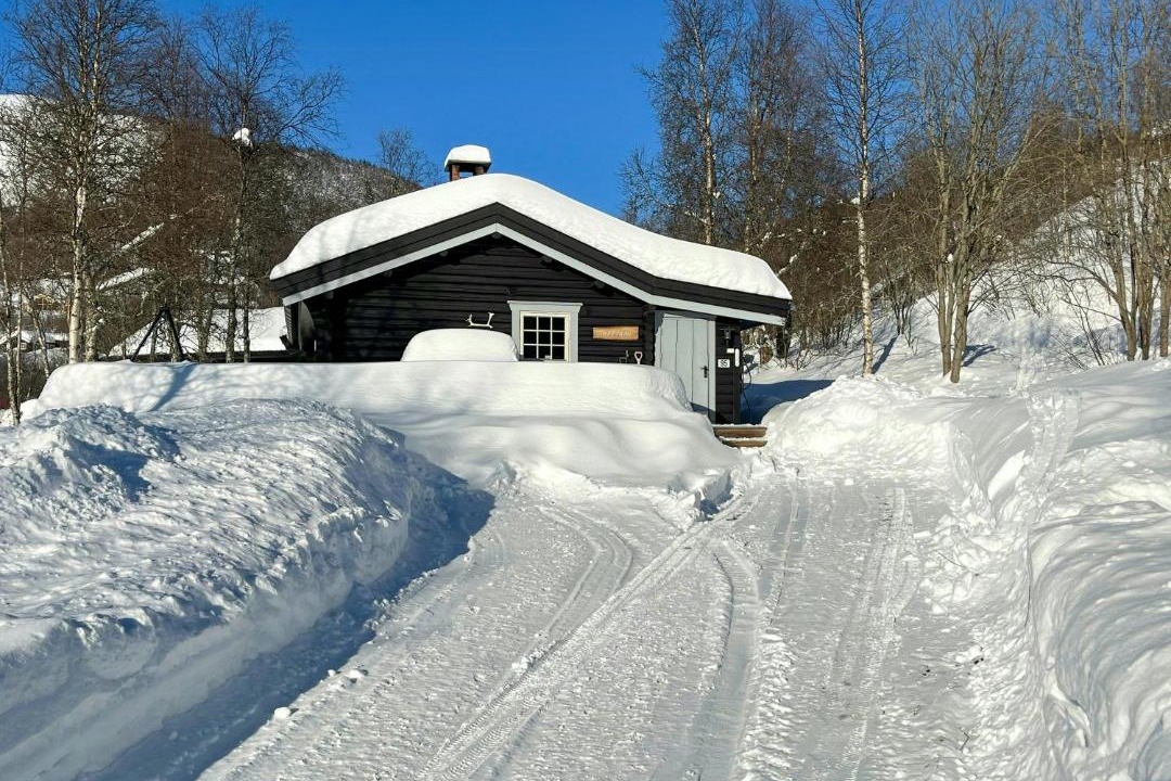 Photo of Others in Hemsedal