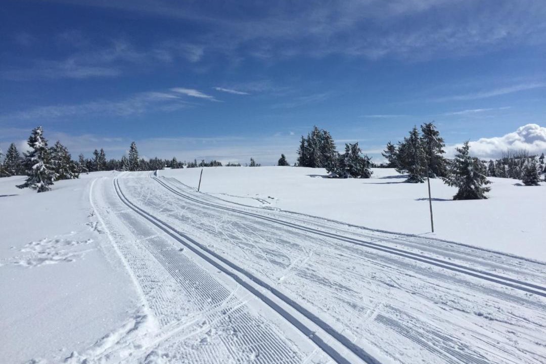Photo of Outdoor in Lillehammer