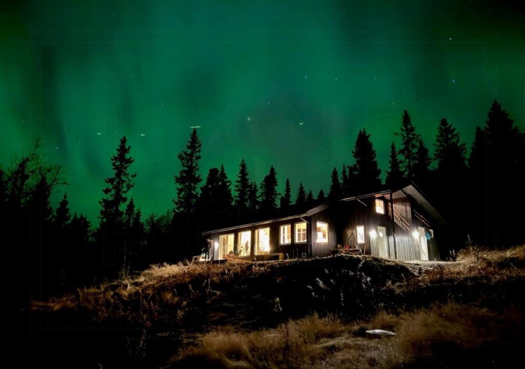 Photo of Others in Trysil