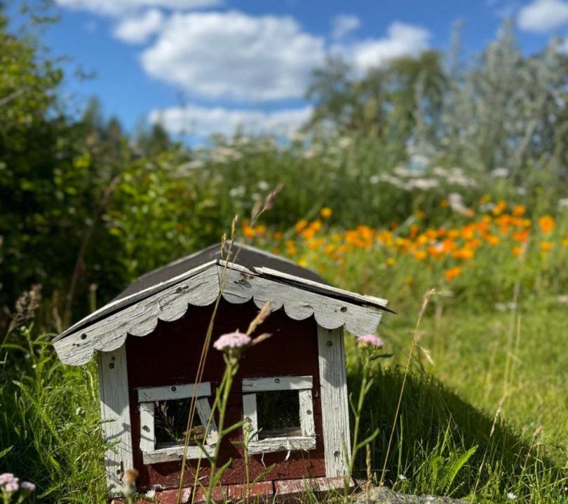Photo of Others in Jarnforsen