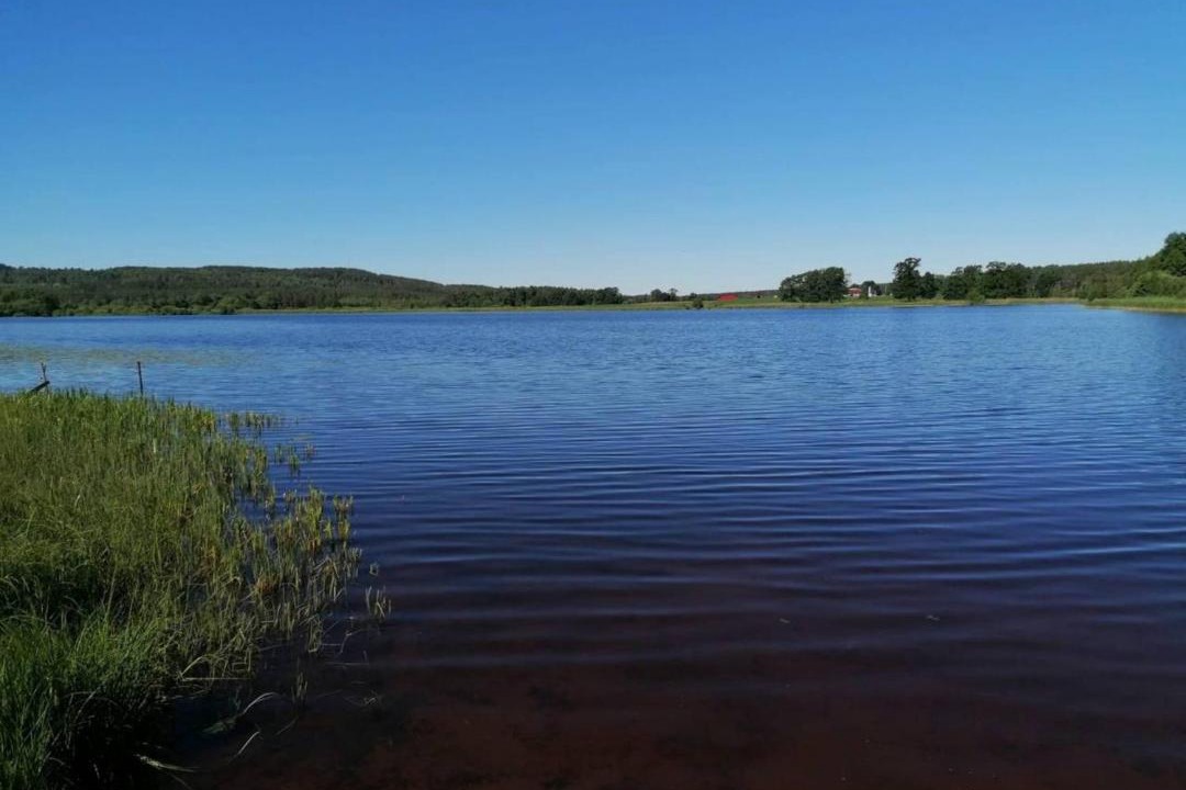 Photo of Others in Jarnforsen