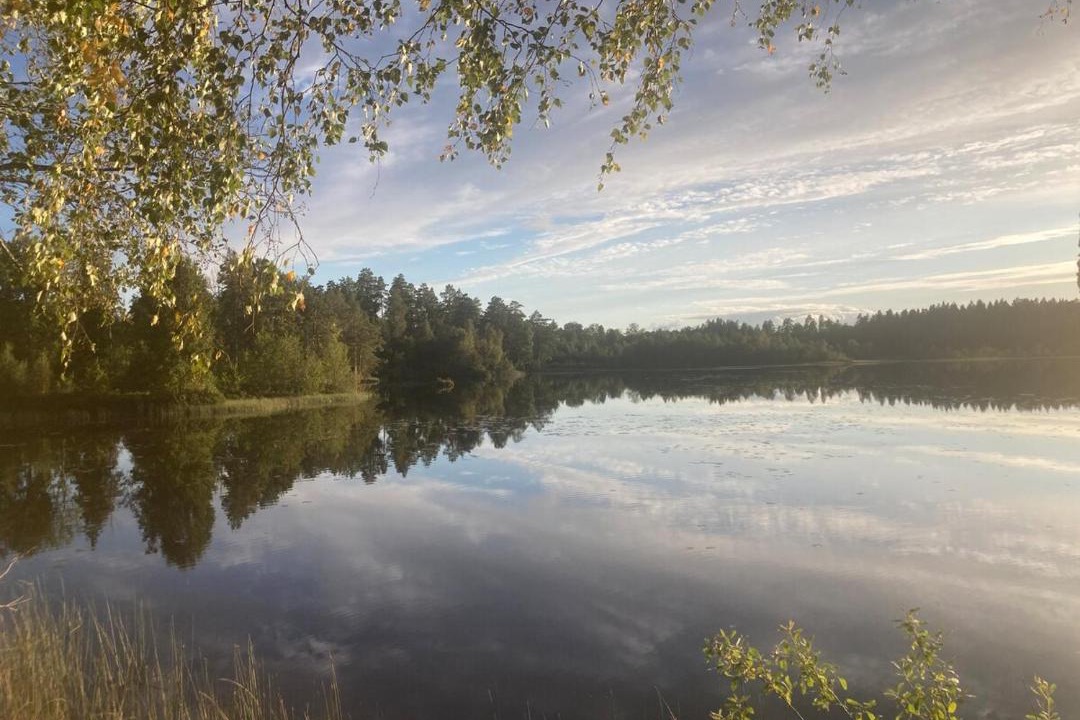 Photo of Others in Gronskara