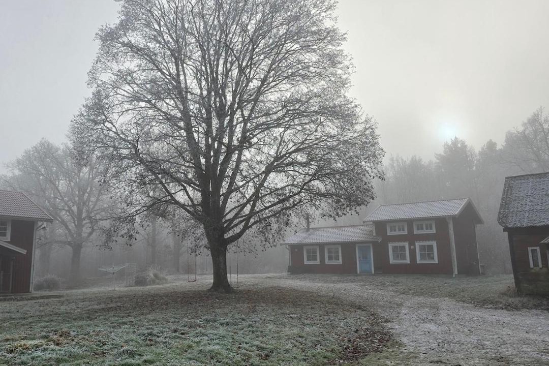 Photo of Others in Eringsboda