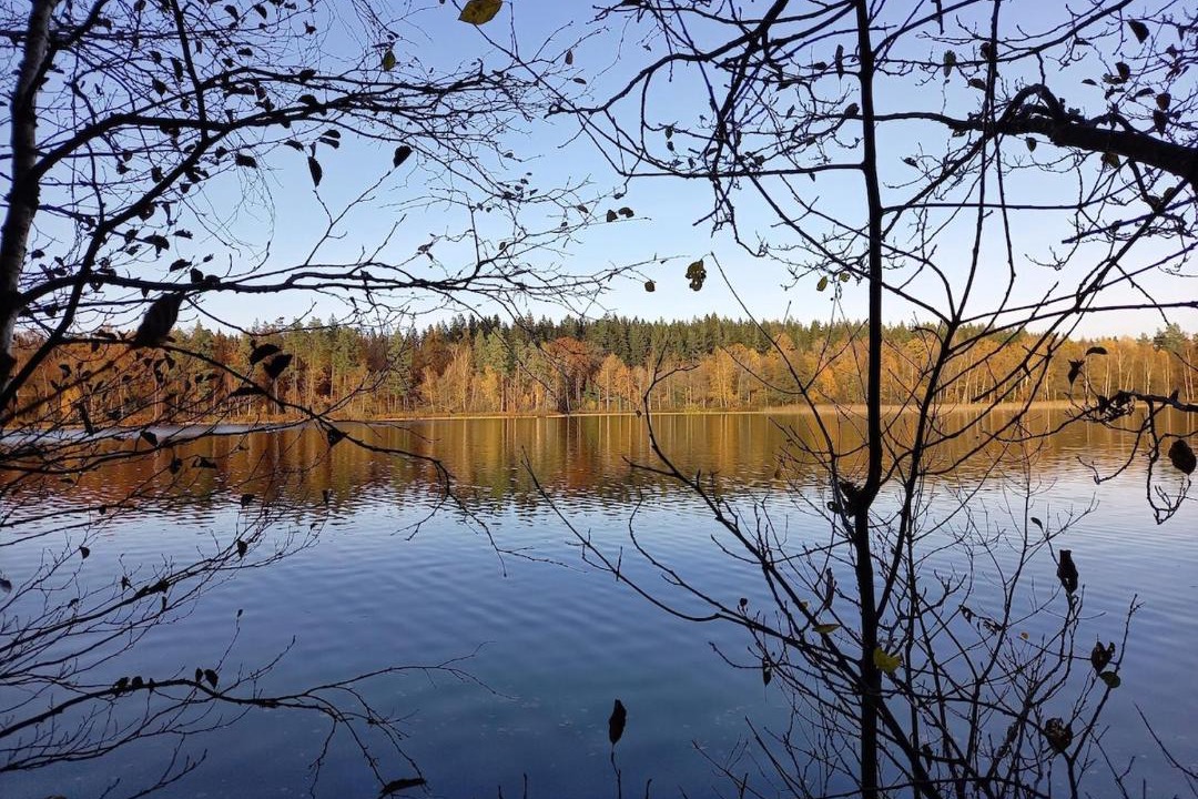 Photo of Others in Eringsboda