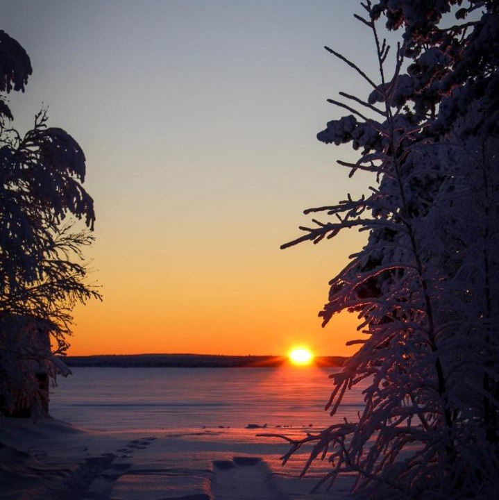 Photo of Others in Rovaniemi