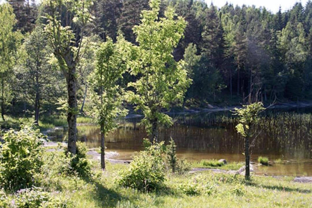 Photo of Others in Kopmannebro