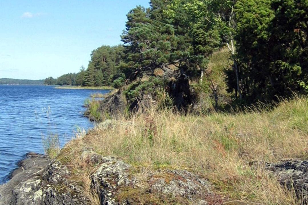 Photo of Others in Kopmannebro