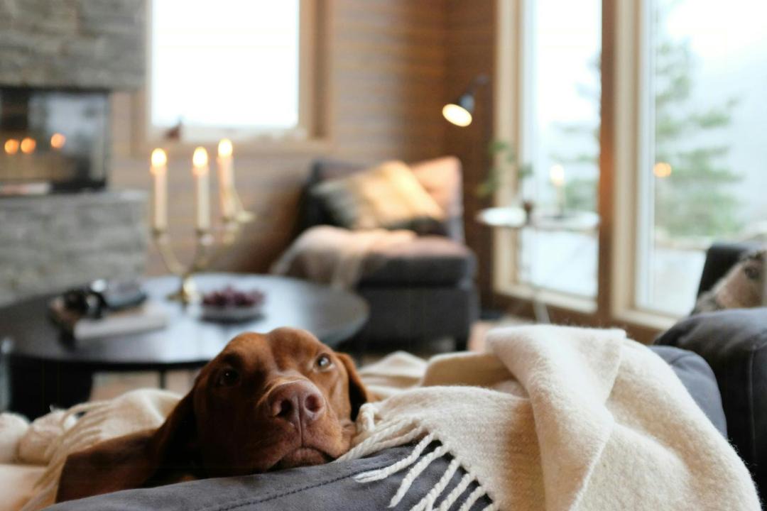 Photo of Livingroom in Hjartdal Municipality