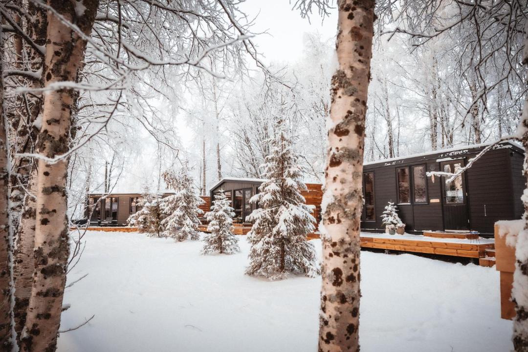 Photo of Others in Rovaniemi