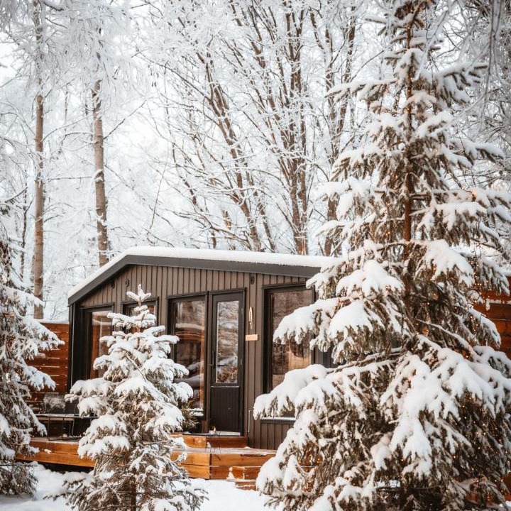Photo of Others in Rovaniemi